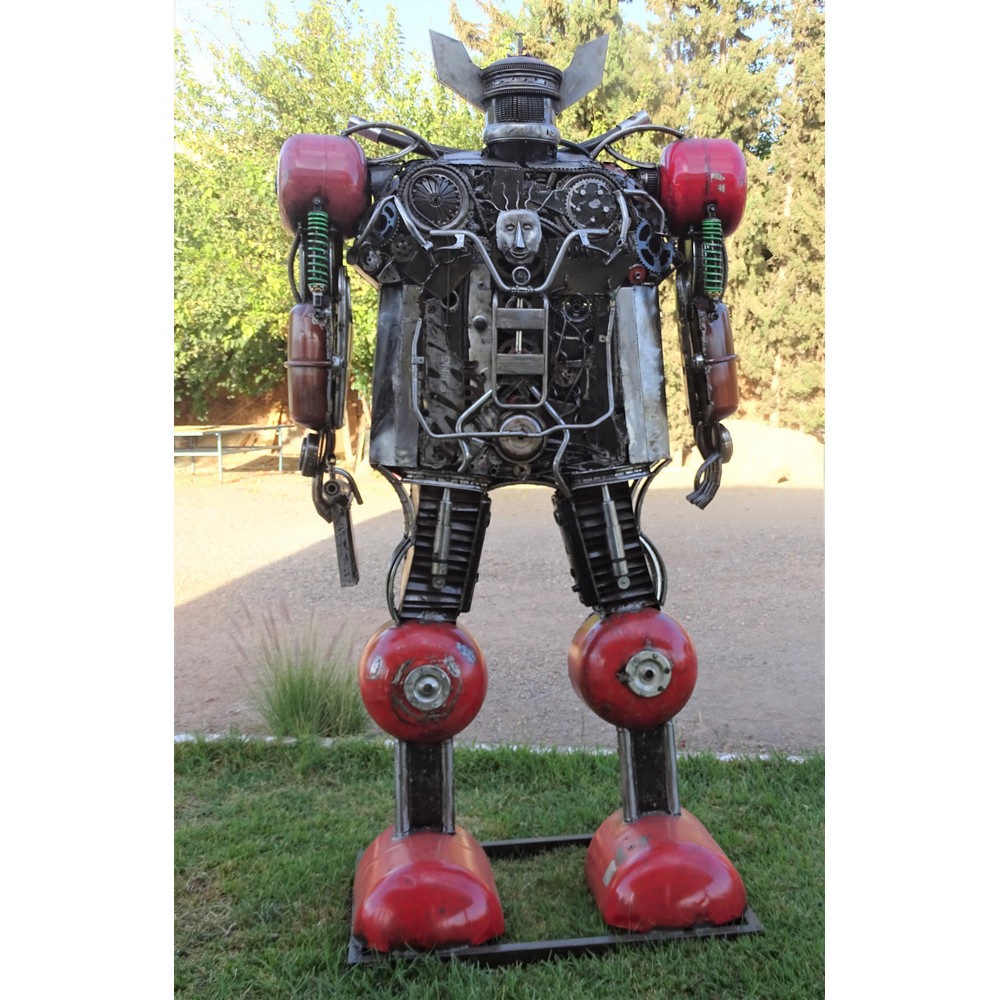 R3 ROBOT GEANT
